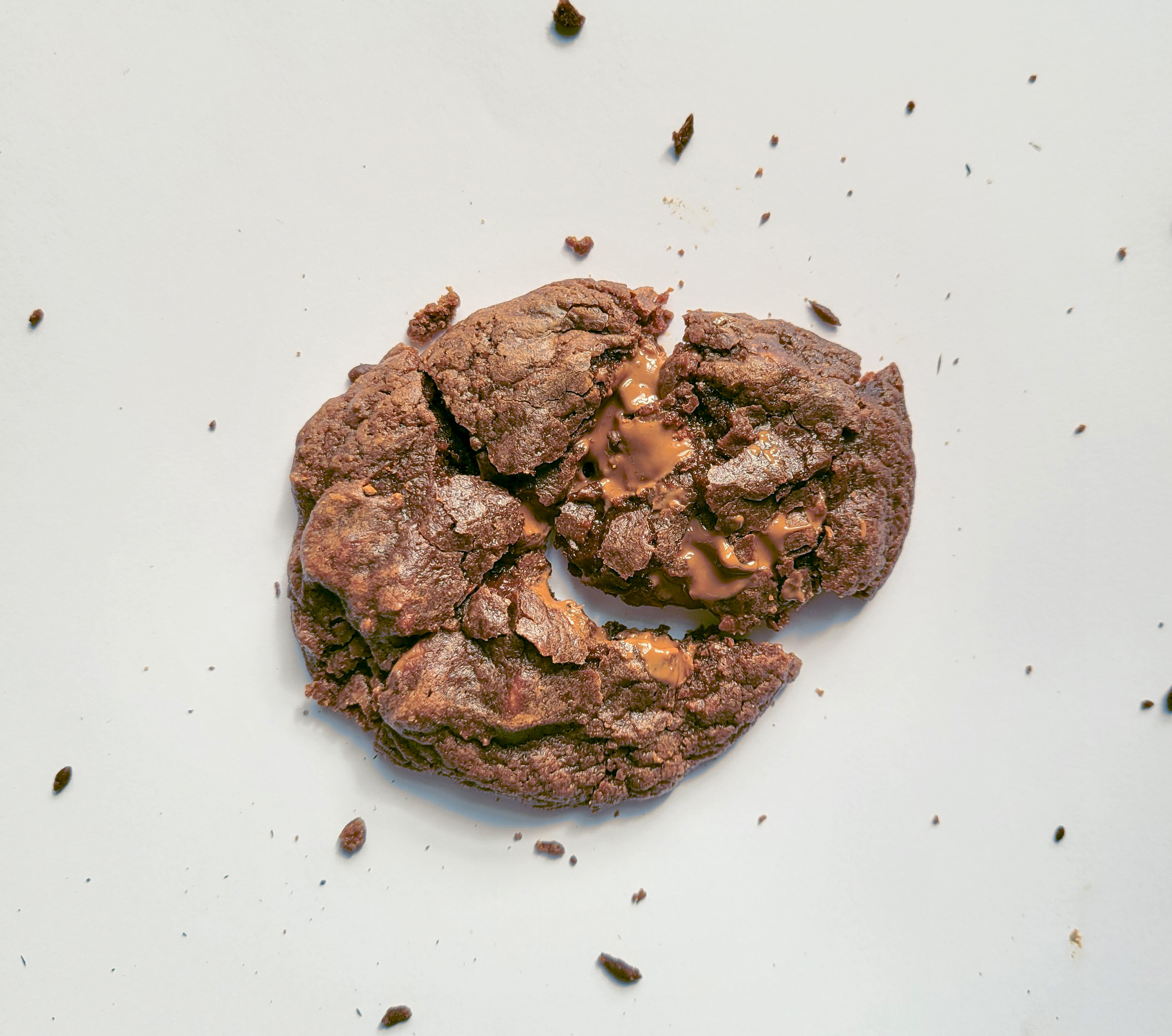 Double Choc Chip Cookies